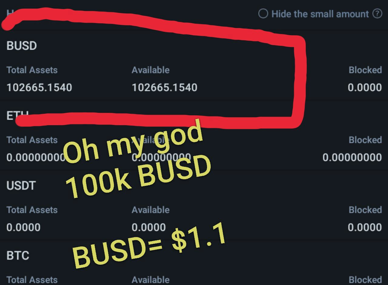 ارز BUSD