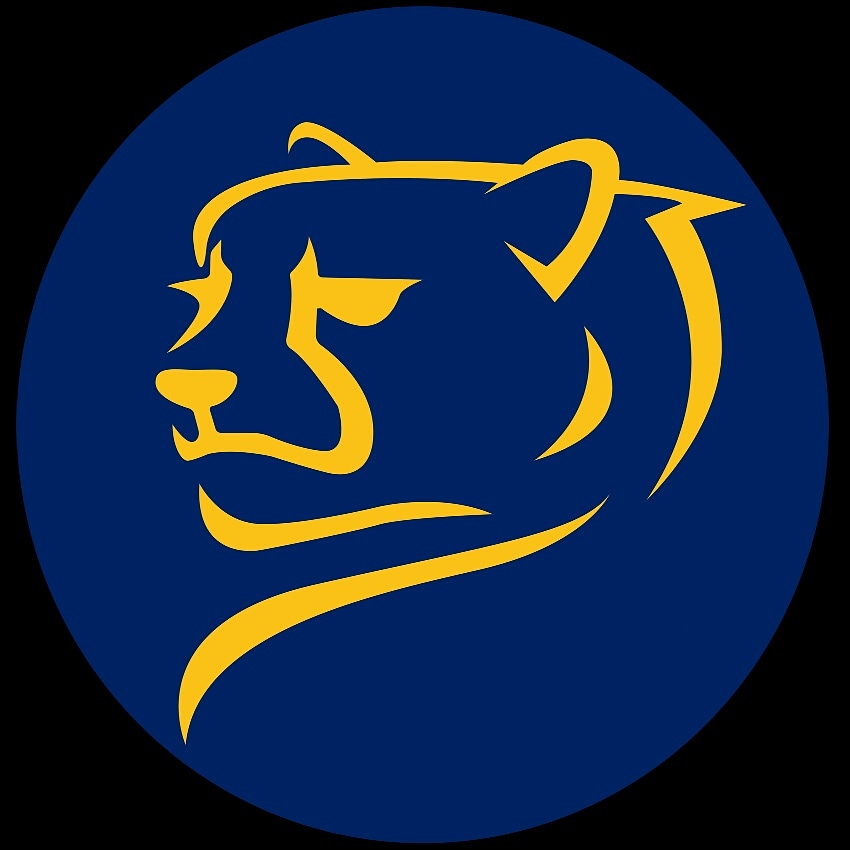 واحد پول جهانی