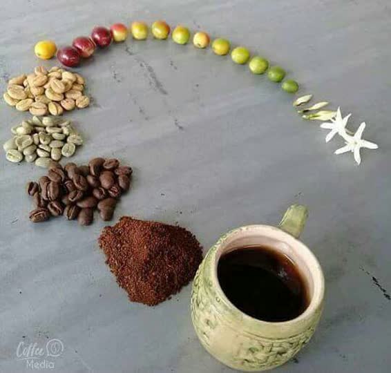قهوه
