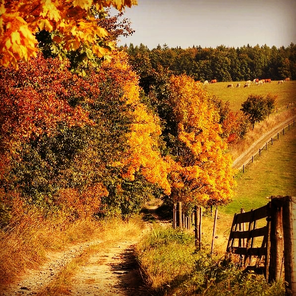 پاییز فصل عاشقان