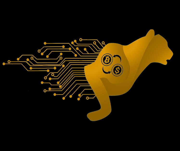 برای فروش یوز به بید ارز بروید