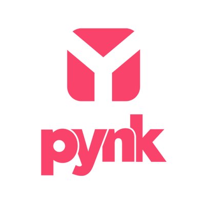 آموزش pynk