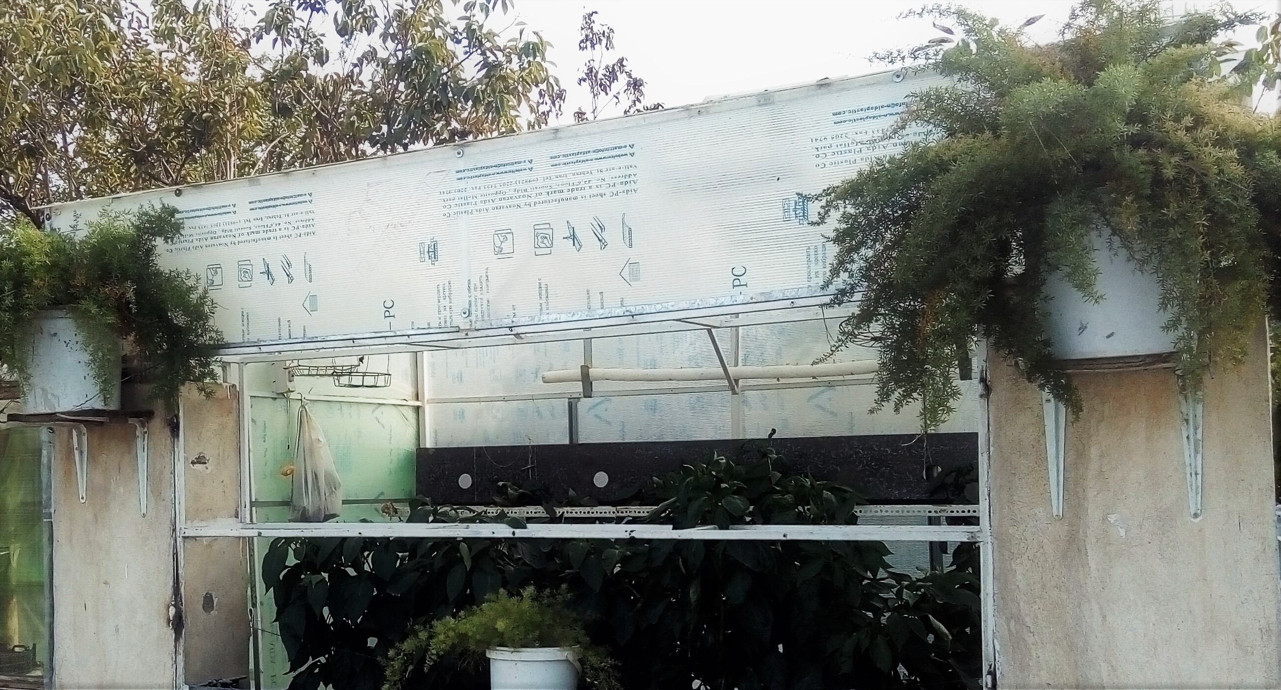 محصولات ارگانیک و خانگی-1(#گلخانه مجید)