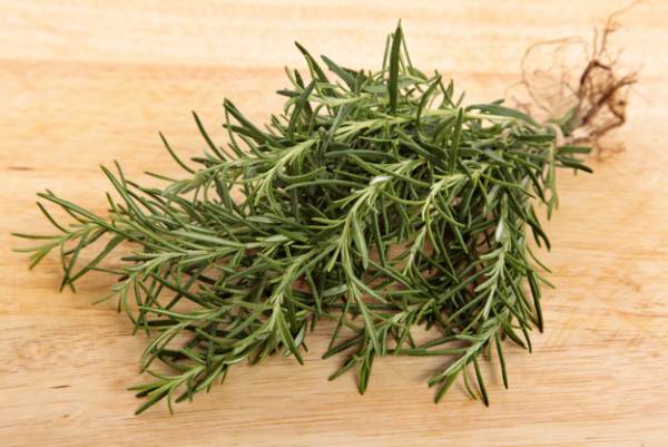 گیاهان دارویی(رزماری)