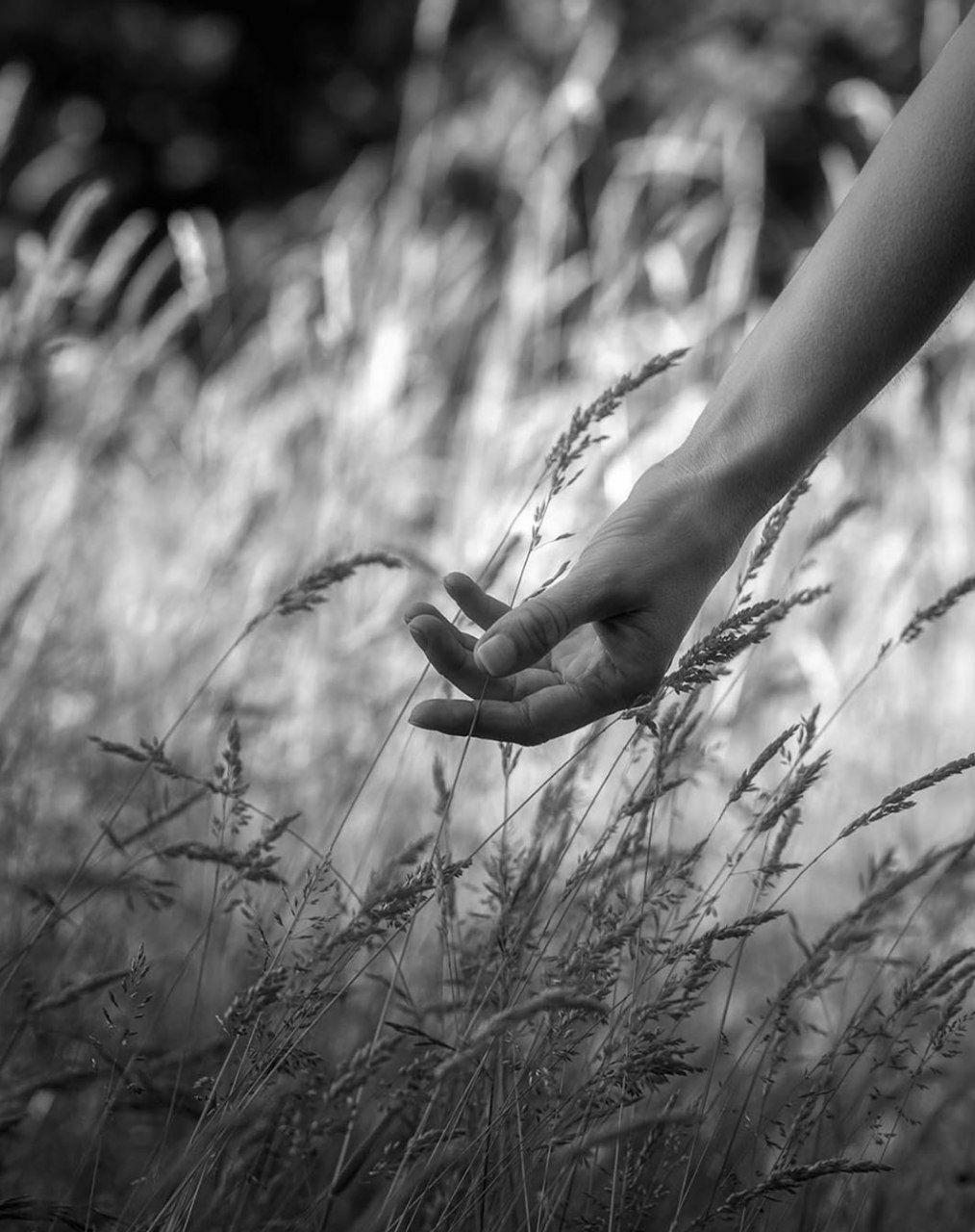 سخن رابرت بنوی