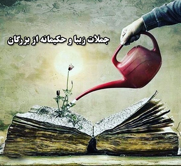 10 سخن زیبا و حکیمانه 