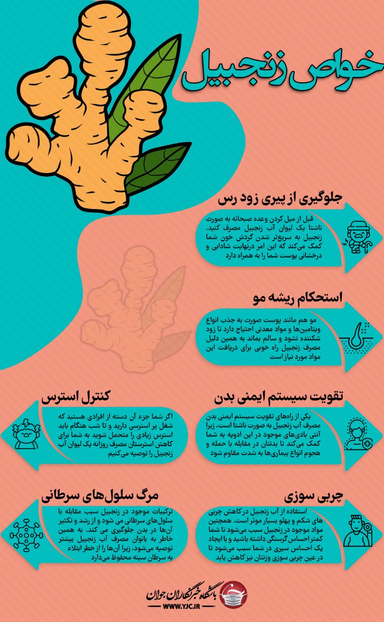 خواص زنجبیل