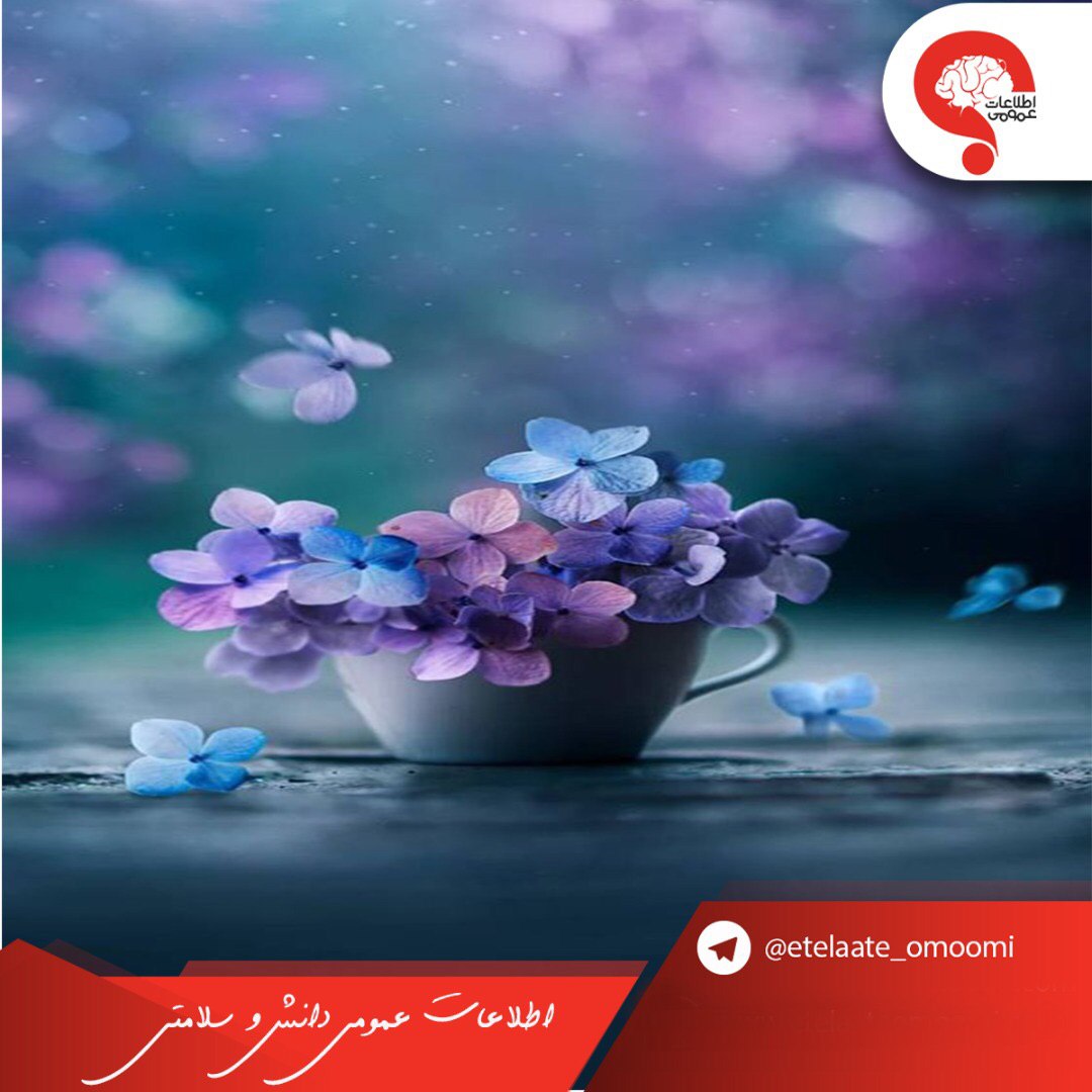 مراحل تبدیل یک آرزو به واقعیت