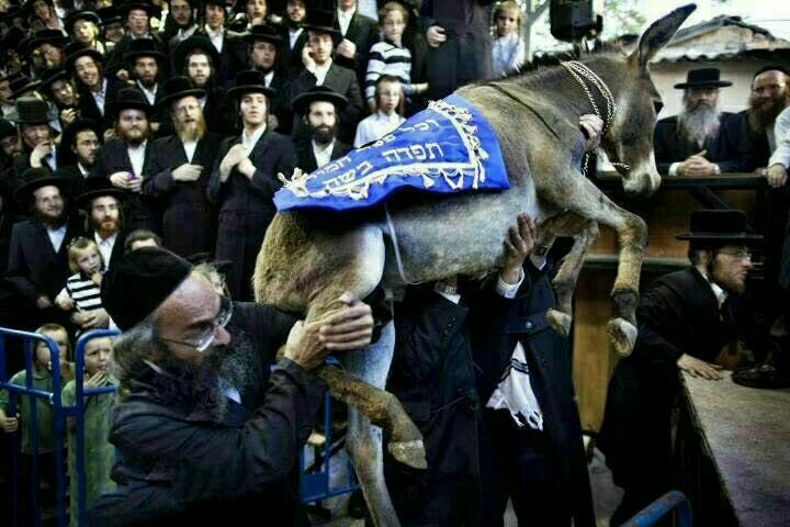 عید برکت صهیونیست ها