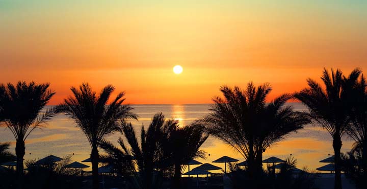 10 سخن بزرگان