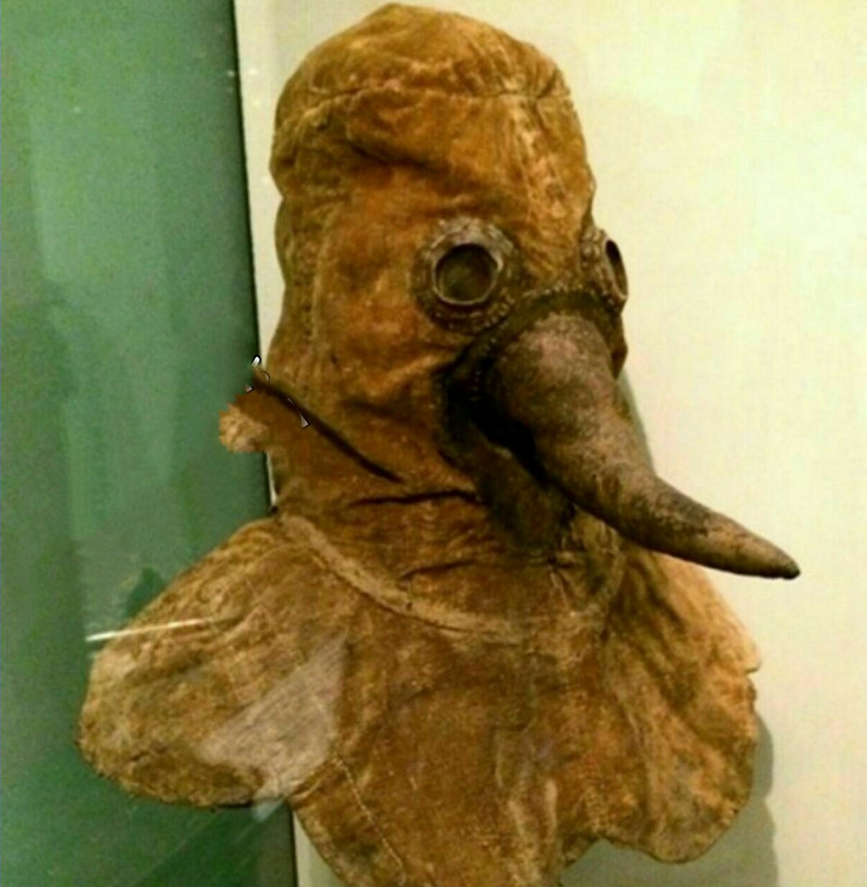 ماسک ضدطاعو