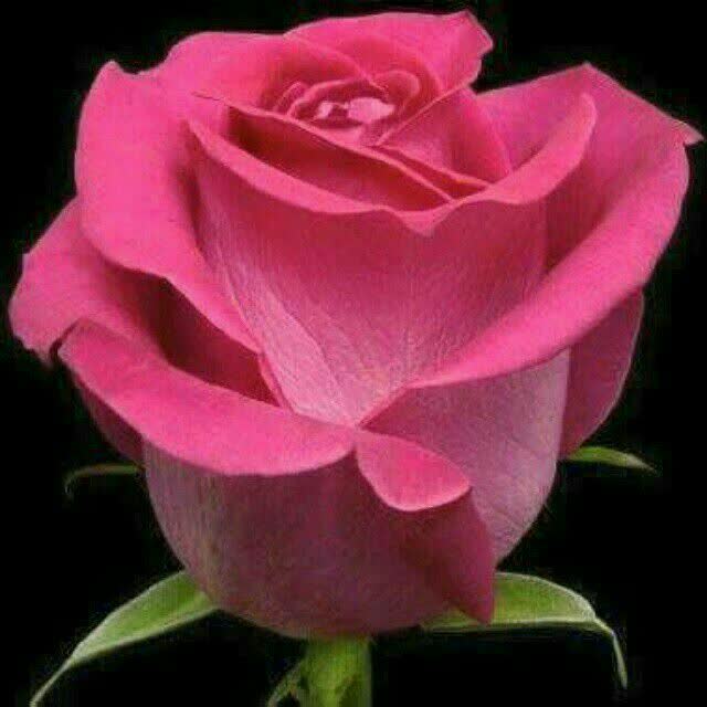 از غصه‌ها دست بکش