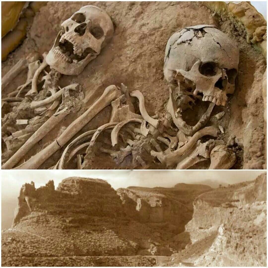 آمار اموات انسان