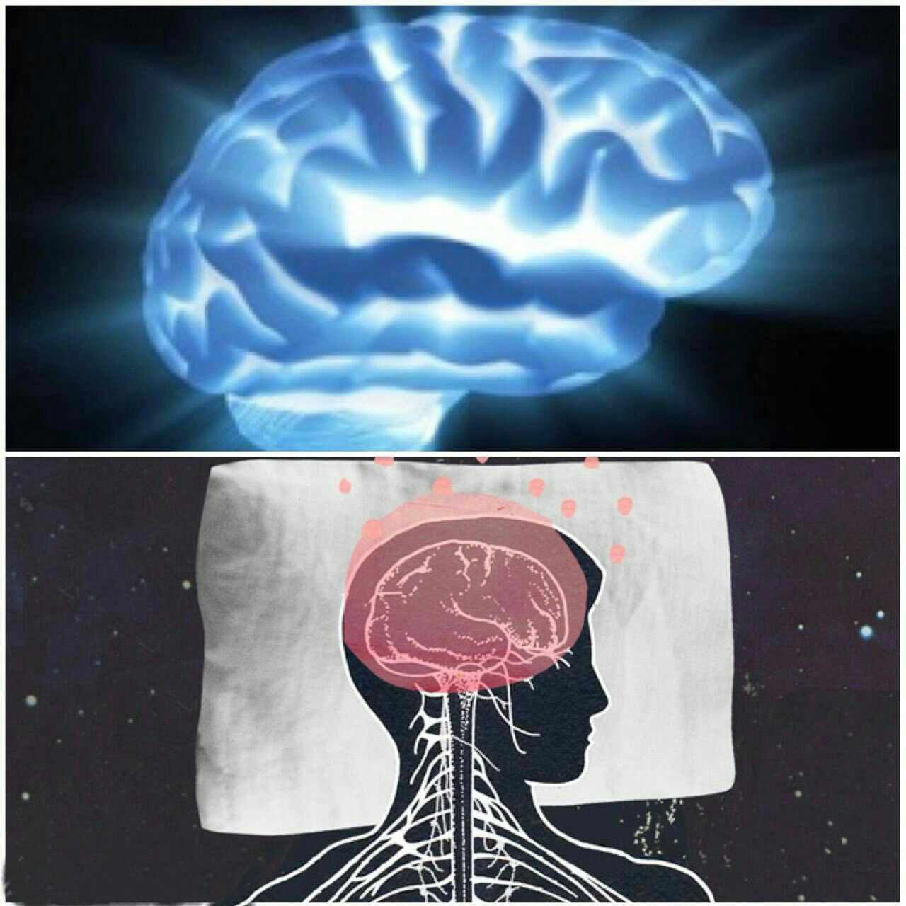 نیاز مغز به بازسازی