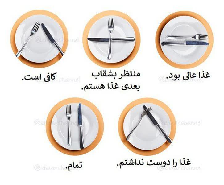 آداب غذا خوردن