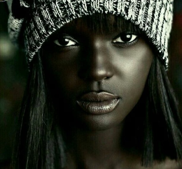 داکی ثوت مدل استرالیایی