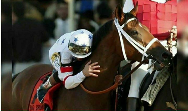 سوارکارمعروف