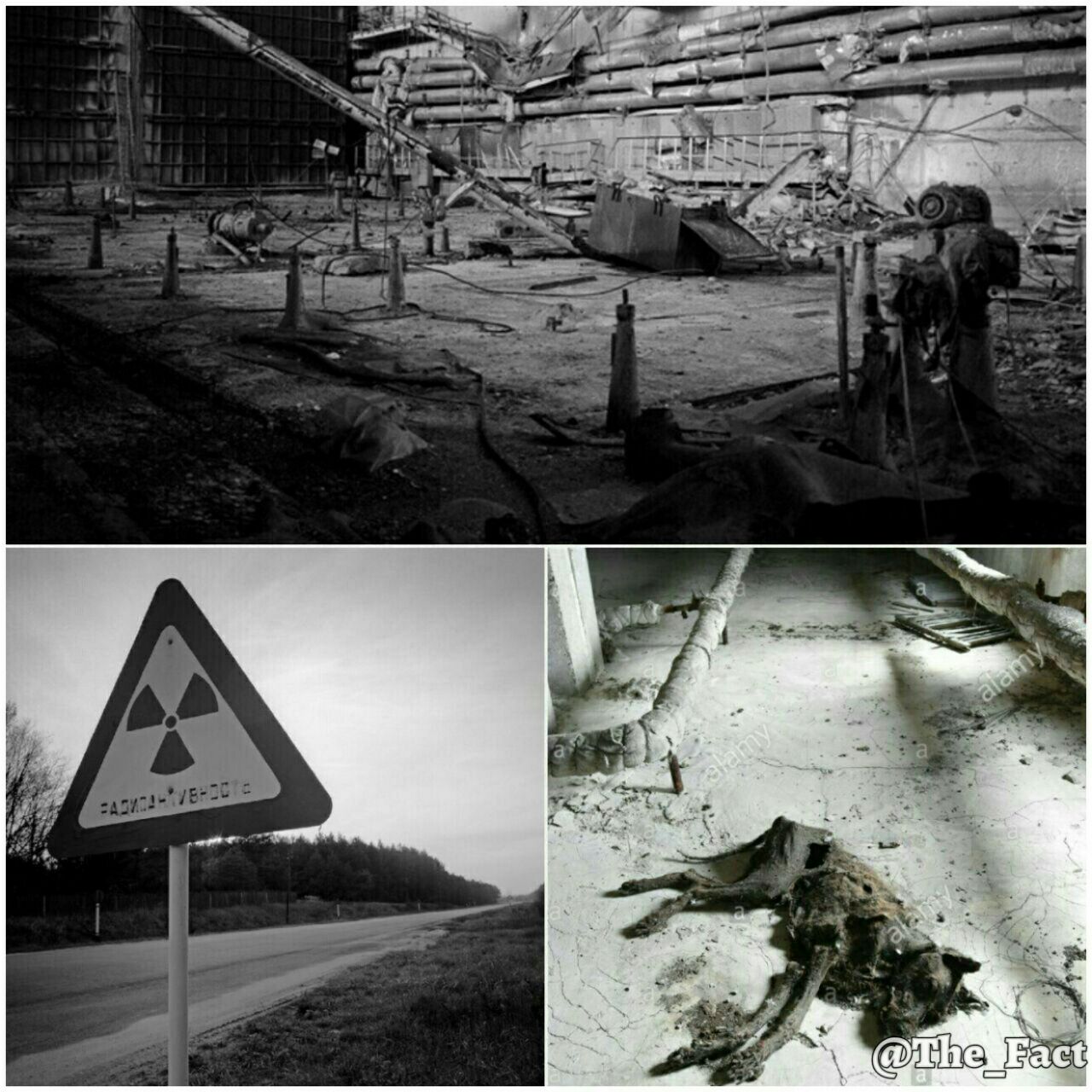 نیروگاه چرنوبیل