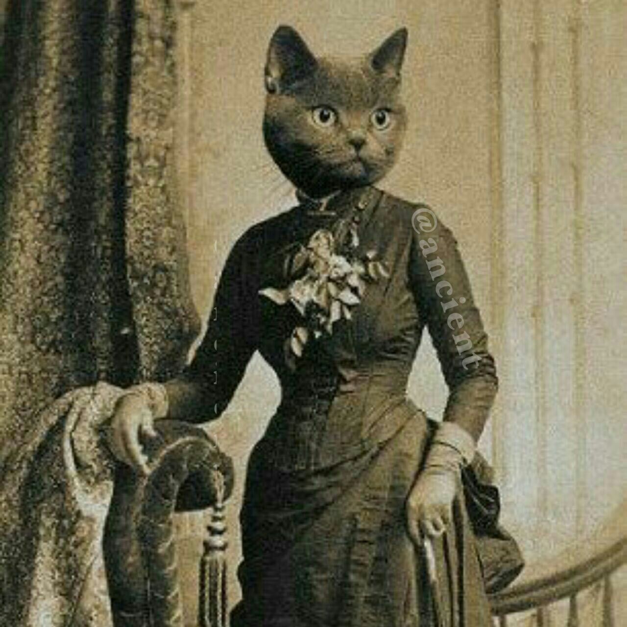 عکاسی دوران ویکتوریا