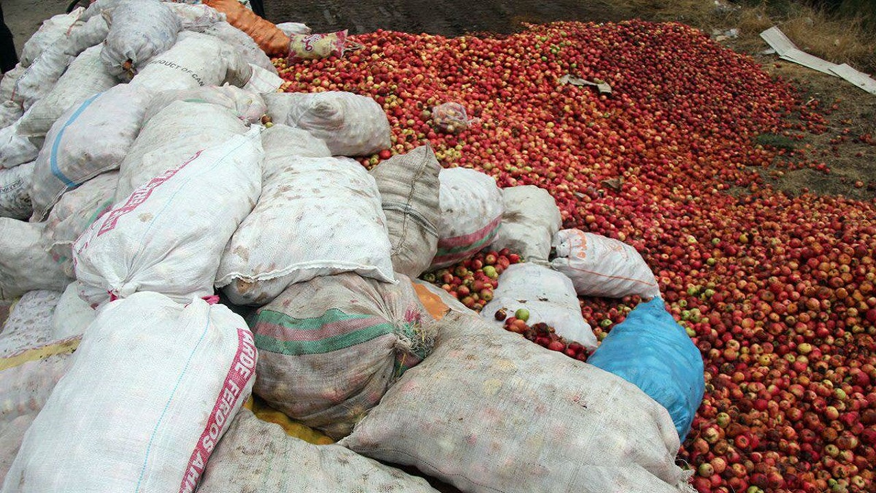 مشکلات فروش سیب پایانی ندارد