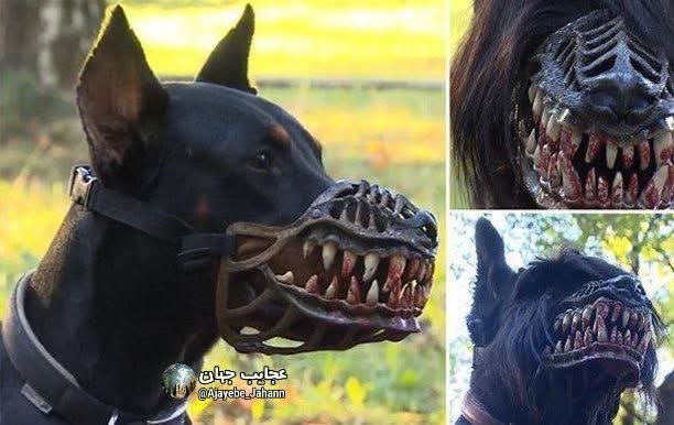 بیوپلاستیک