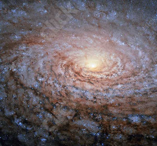 کهکشان آفتابگردان