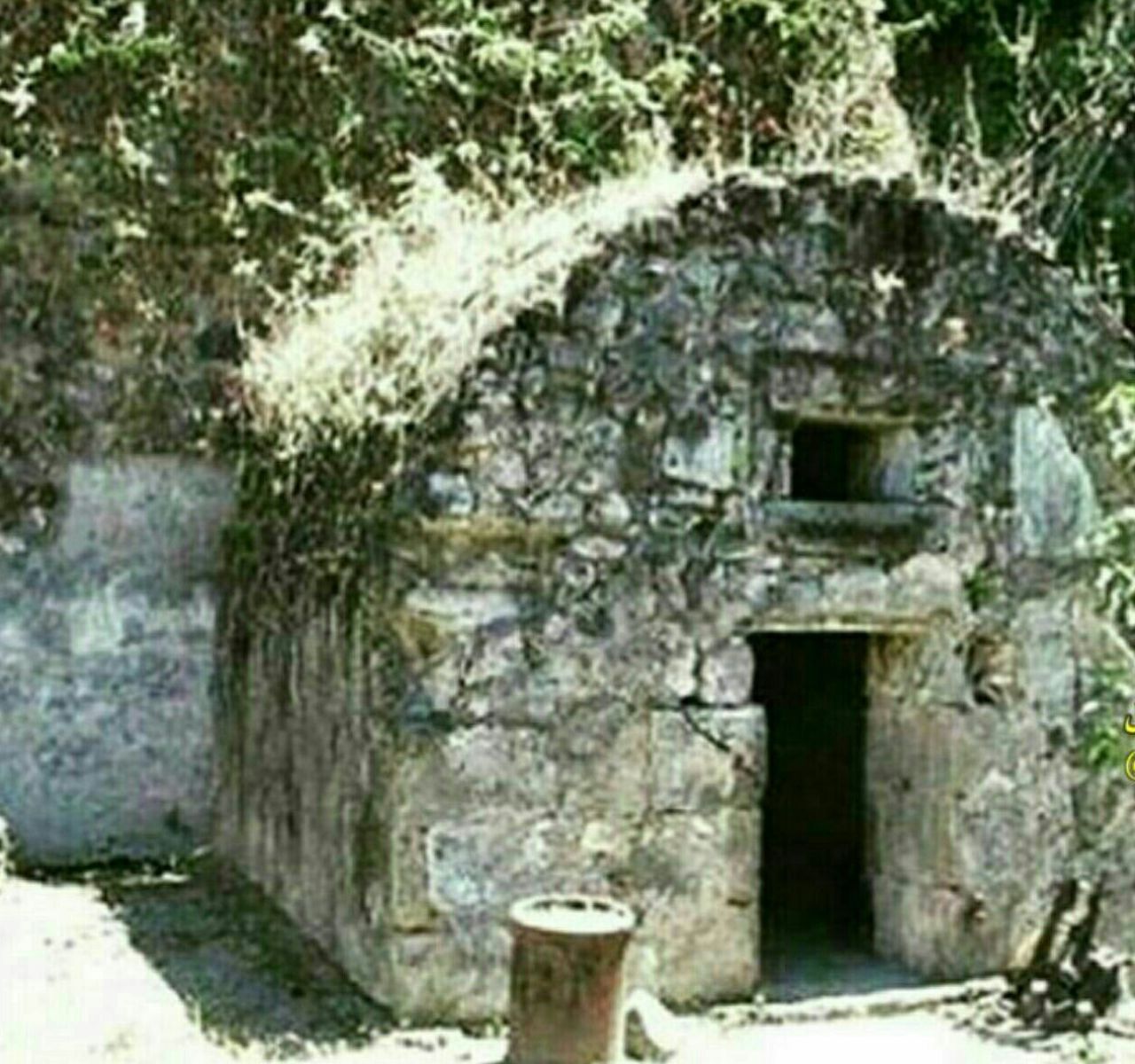 زنده ماندن بعد از فوران آتشفشان