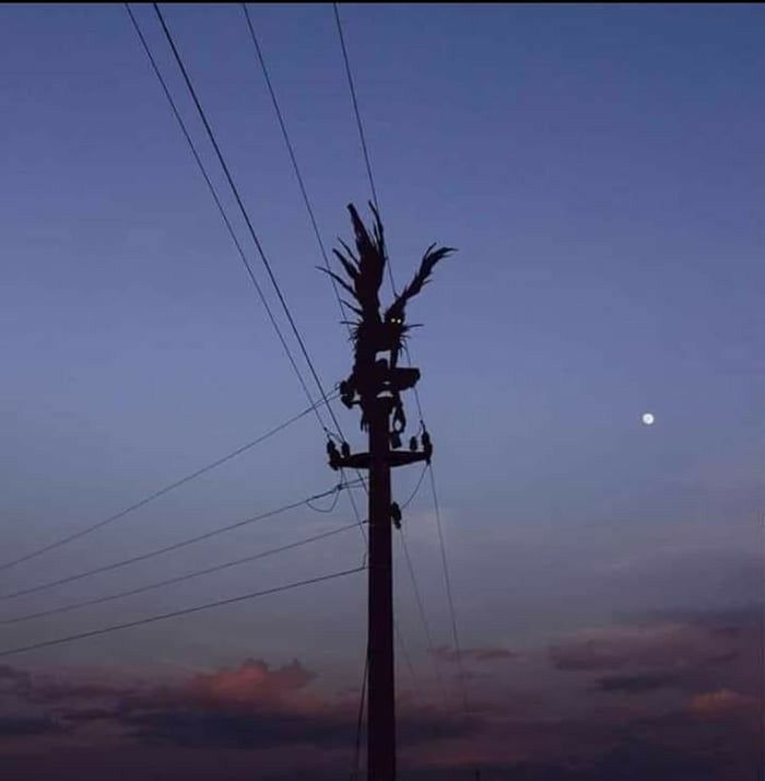 جمعیت انسان اززمان پیدایش زمین