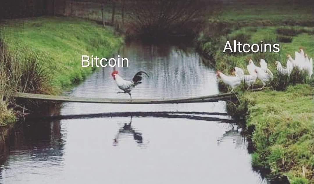 بیت کوین و تاثیر ان در بازار رمز ارز