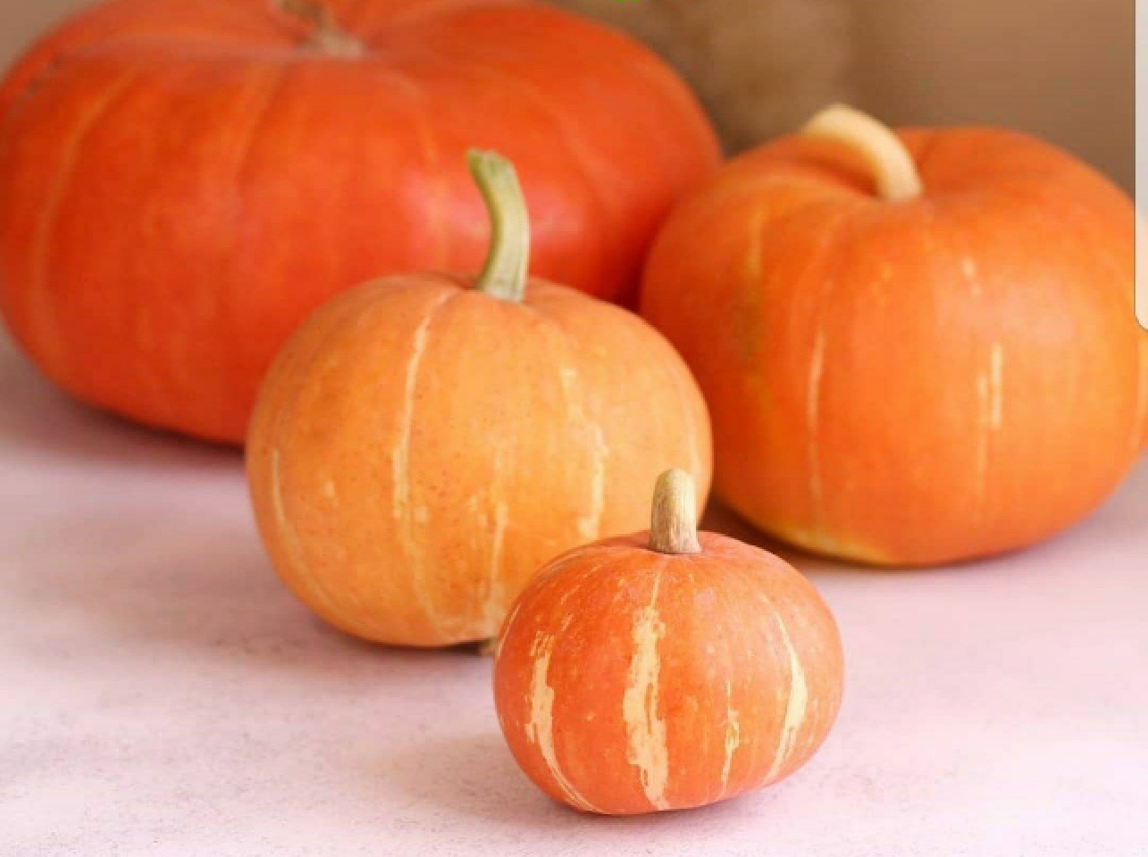 درمان آنفلوانزا با کدو تنبل