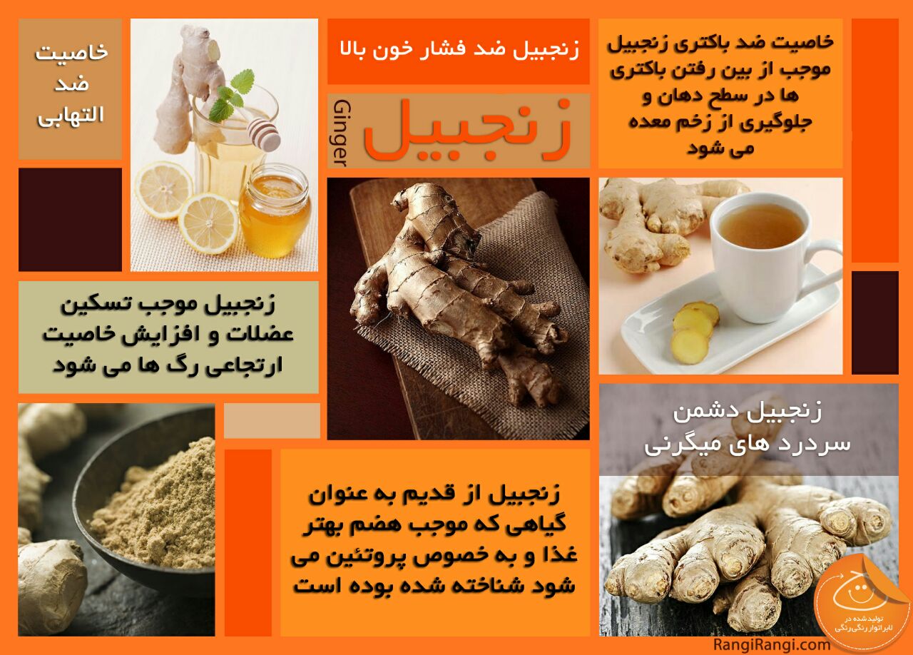 خواص زنجبیل