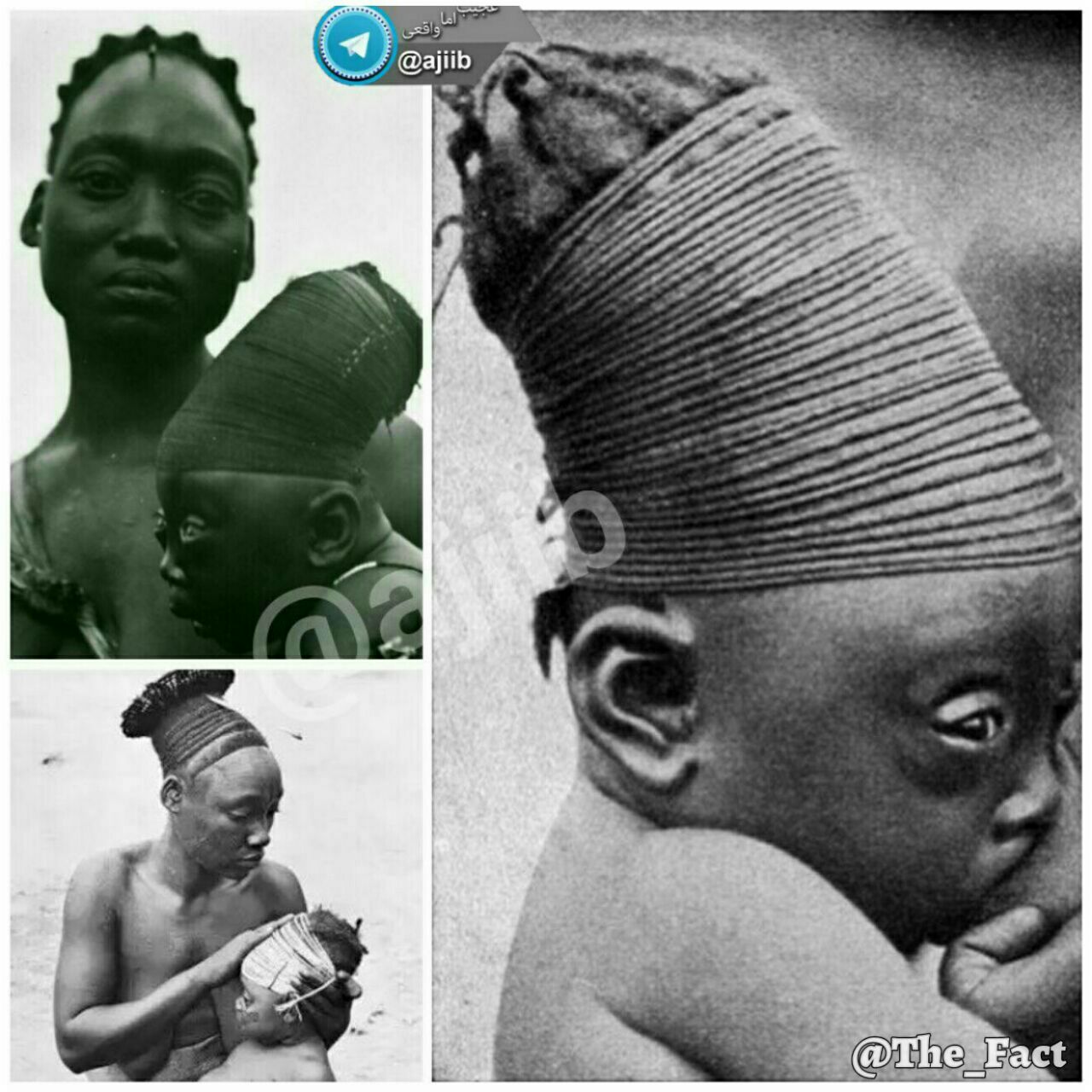 رسم عجیب قبیله مونگوبیتو