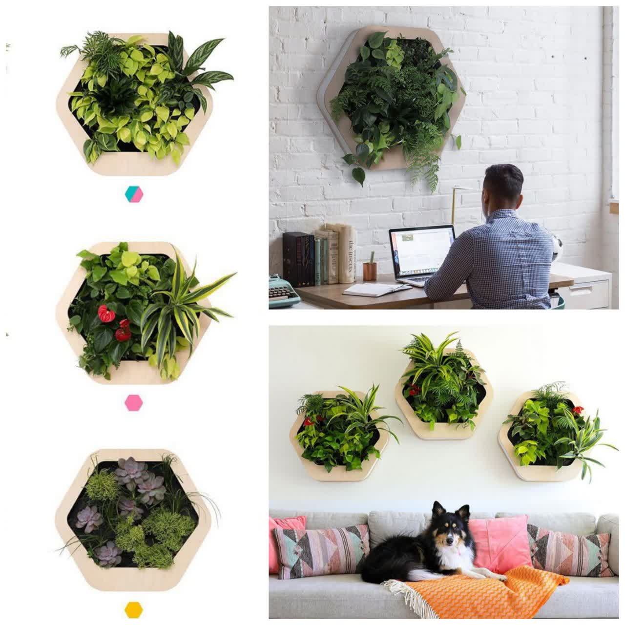 تابلوهای جدید گل تزئینی!