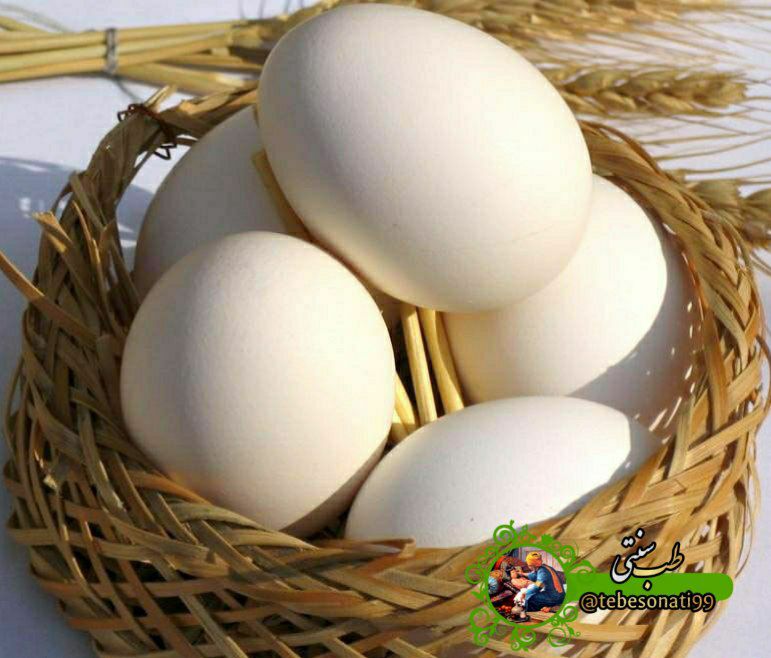 خواص مهم تخم مرغ