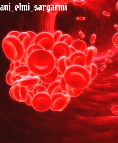 ادمها پس از 40سالگی کمتر تشنه میشوند 