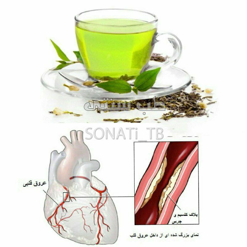 فواید چای سبز برای قلب