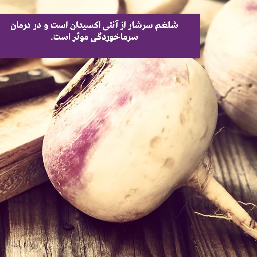 شلغم آنتی بیوتیک طبیعی