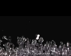 ایا میدانستید آب حافظه دارد 