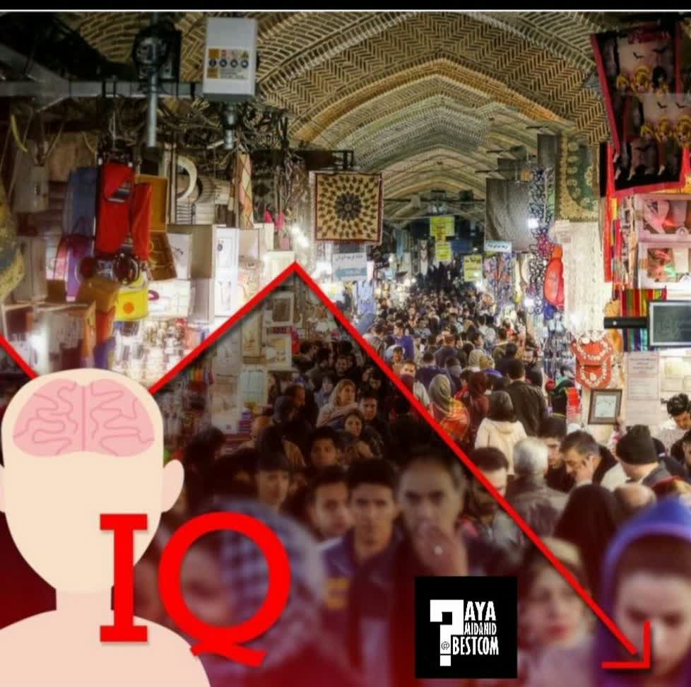 ضریب هوشی ایران