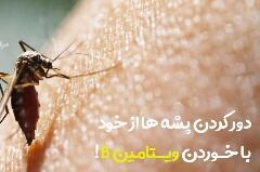 با خوردن ویتامین B پشه ها را از خود دور کنید 