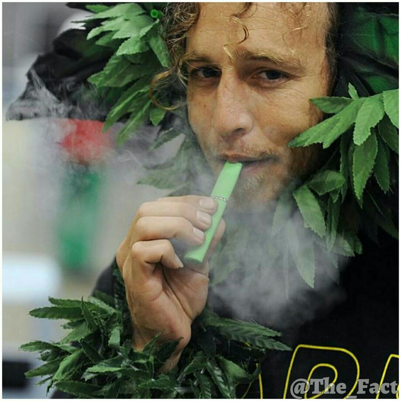 ایسلند رتبه اول در مصرف ماریجوانا