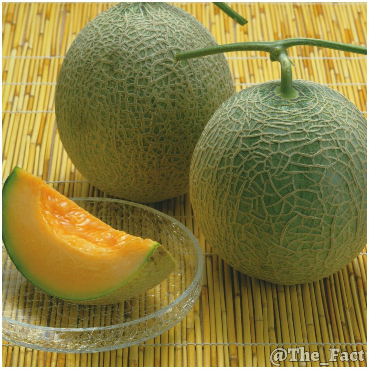 یوباری گرانترین طالبی جهان