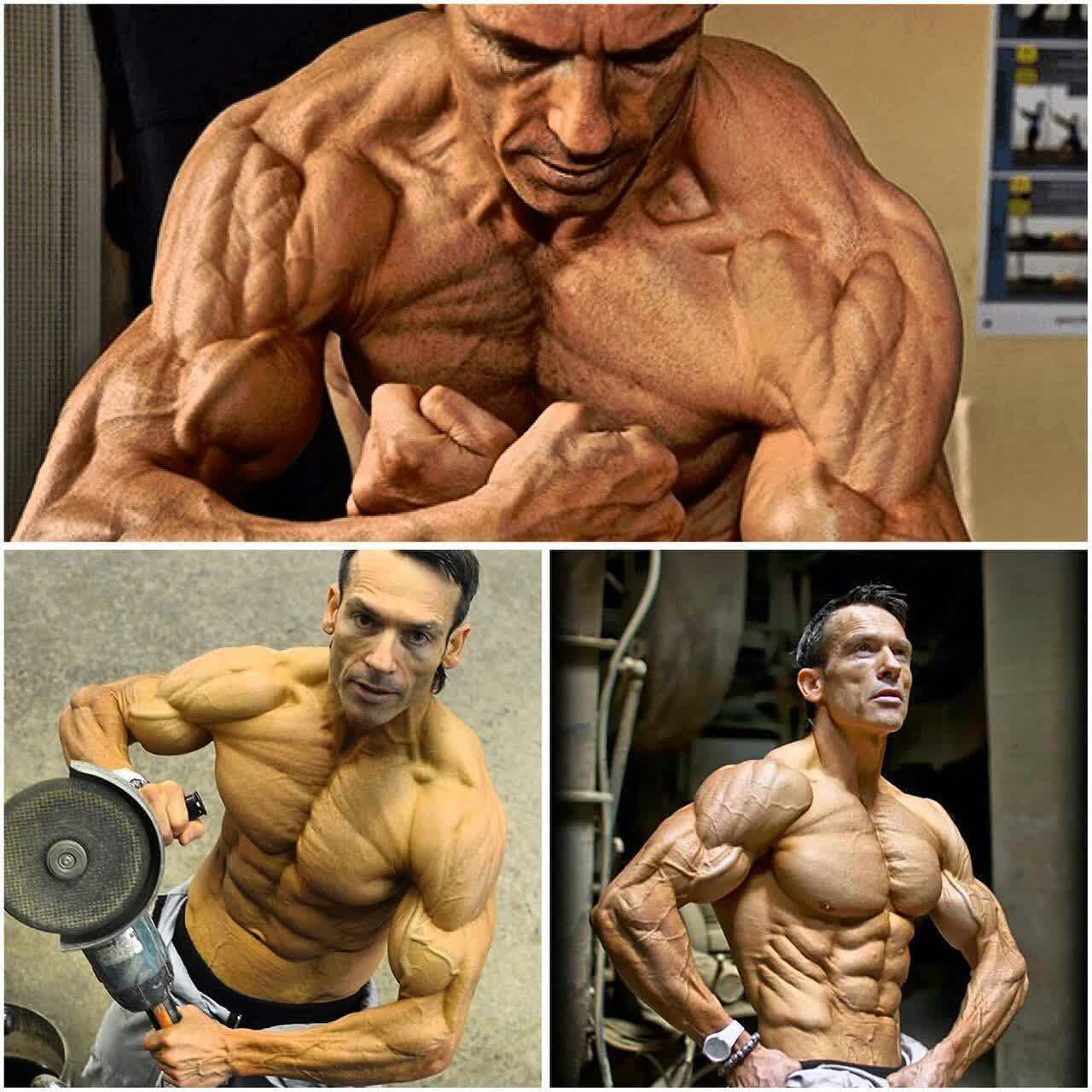  یک مدل آناتومی زنده