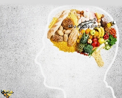 بیشتر غذایی که میخوریم برای مغزاست 