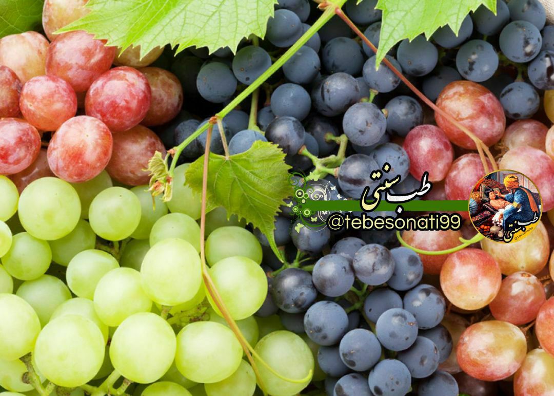انگور را باهسته بخورید