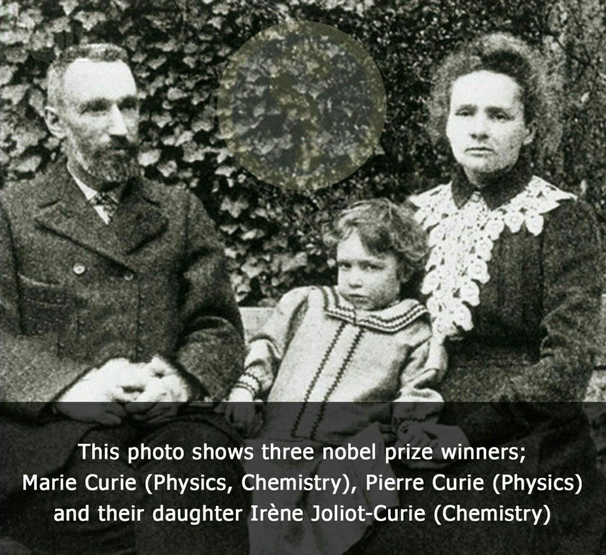 خانوادهای با بیشترین نوبل جهان