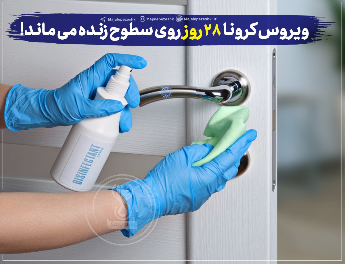 ویروس کرونا تا ۲۸ روز روی سطوح زنده می‌ماند 
