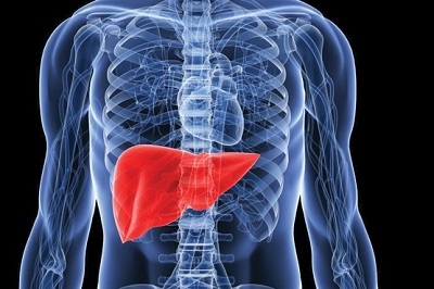 اقدامات لازم برای پاکسازی کبد