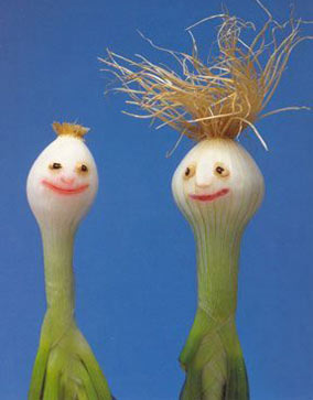 خواص پیازچه