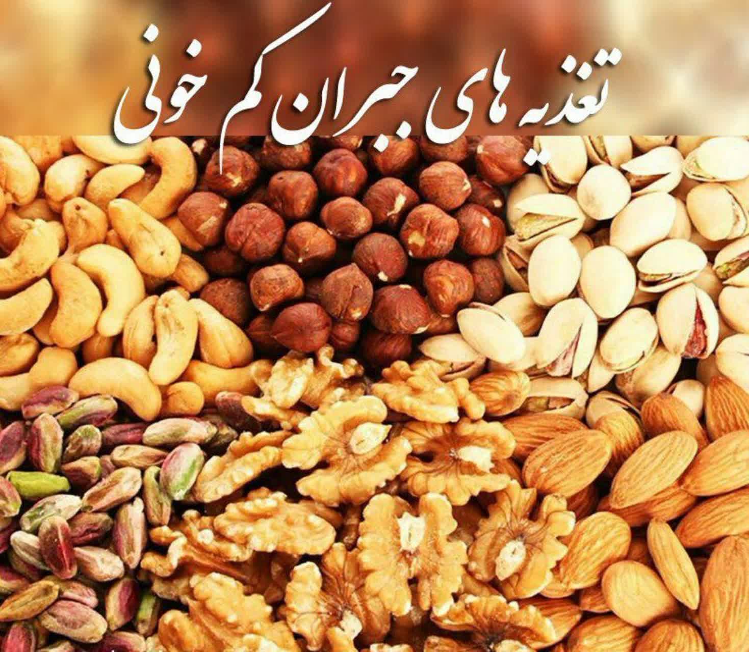 تغذیه های جبران کم خونی